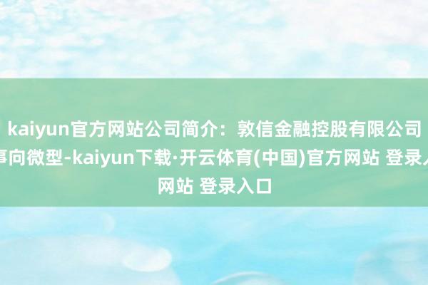 kaiyun官方网站公司简介：敦信金融控股有限公司从事向微型-kaiyun下载·开云体育(中国)官方网站 登录入口